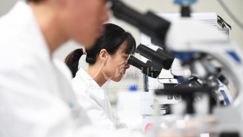 基因编辑：科技之光下的伦理迷思