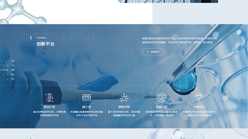 生物药CDMO定制服务流程揭秘：从研发到上市的关键步骤