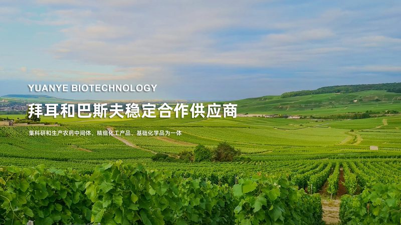 离心管防爆尺寸规格表：生物实验中的安全守则**