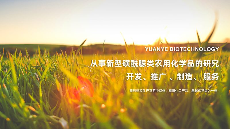 洗涤酶制剂加盟代理，如何选择可靠合作伙伴？**