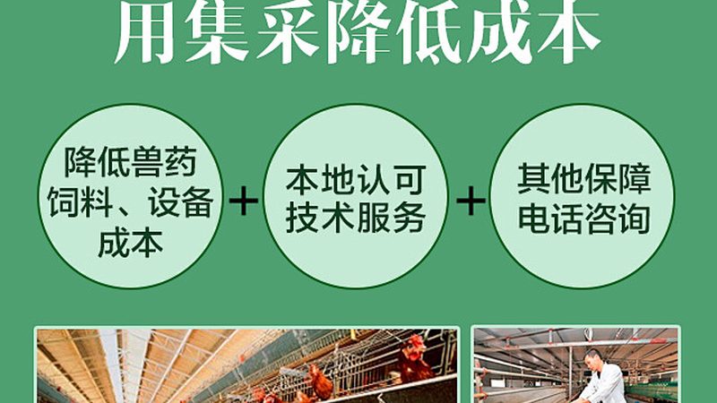 基因检测与筛查：成都地区优质服务的探秘**