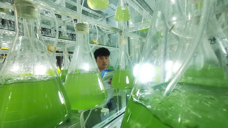 血液制品定制服务：揭秘其背后的科学与技术